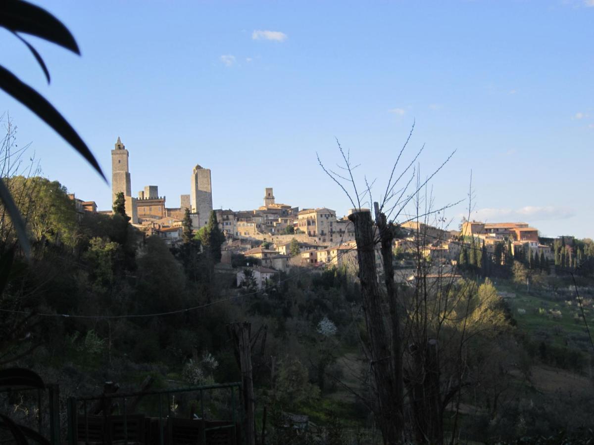 Agriturismo Il Colto Villa San Gimignano Dış mekan fotoğraf