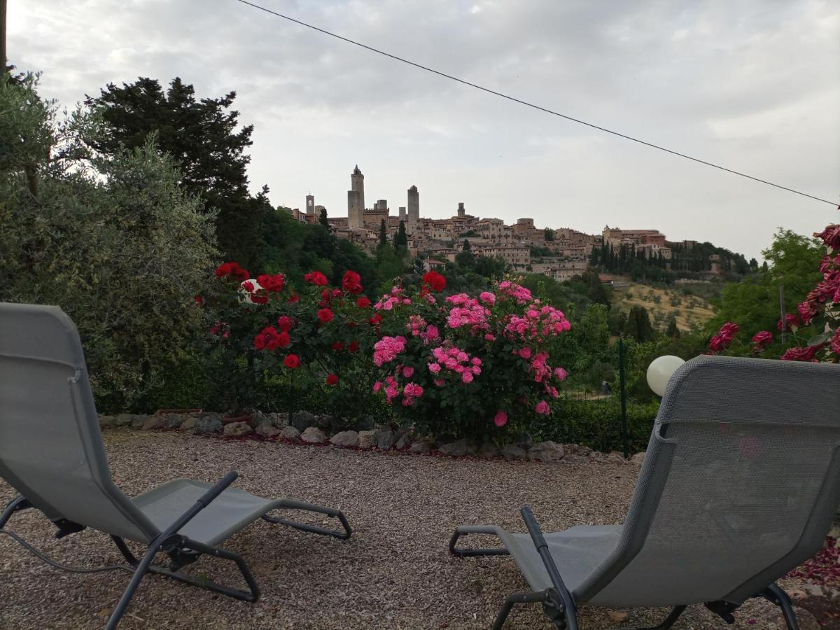 Agriturismo Il Colto Villa San Gimignano Dış mekan fotoğraf