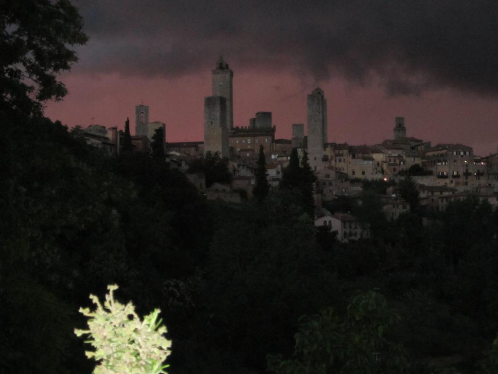 Agriturismo Il Colto Villa San Gimignano Dış mekan fotoğraf