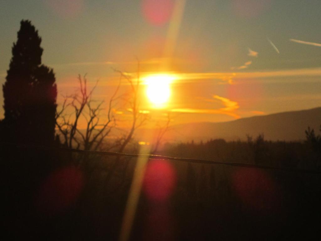 Agriturismo Il Colto Villa San Gimignano Dış mekan fotoğraf