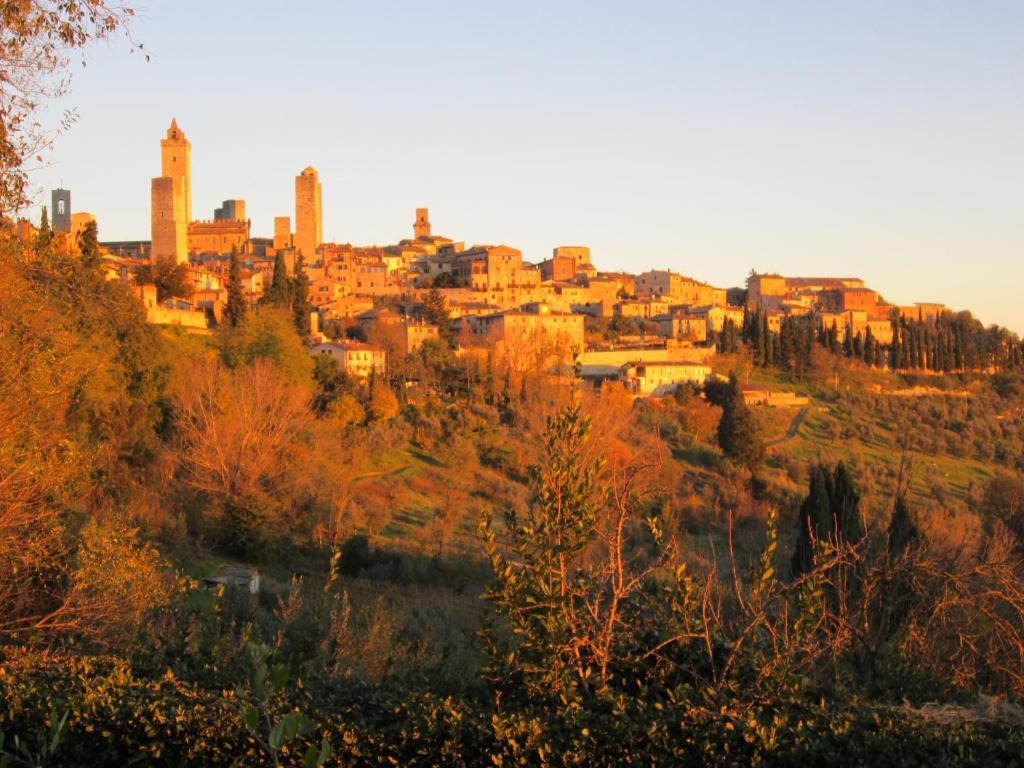 Agriturismo Il Colto Villa San Gimignano Dış mekan fotoğraf