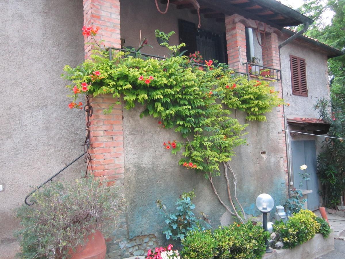 Agriturismo Il Colto Villa San Gimignano Dış mekan fotoğraf